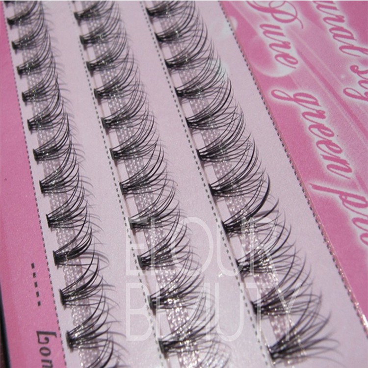 popular lash extensions.jpg